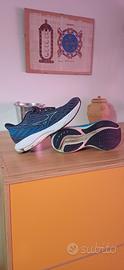 Mizuno Wave Rider 29