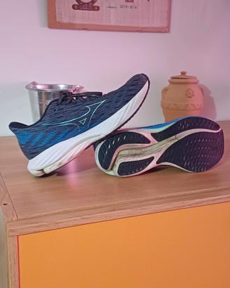 Mizuno Wave Rider 29