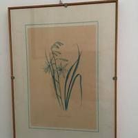 Cornici leggere in legno