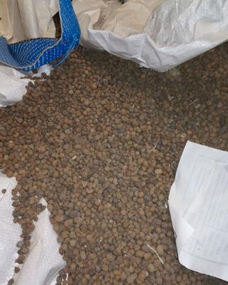 Perlite Argilla Espansa
