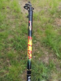 canna da pesca per bolentino