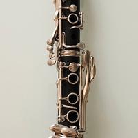 Clarinetto Yamaha YCL-34II E in Ebano 