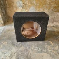 Cassa acustica subwoofer per auto