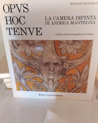 LA CAMERA DIPINTA DI ANDREA MANTEGNA