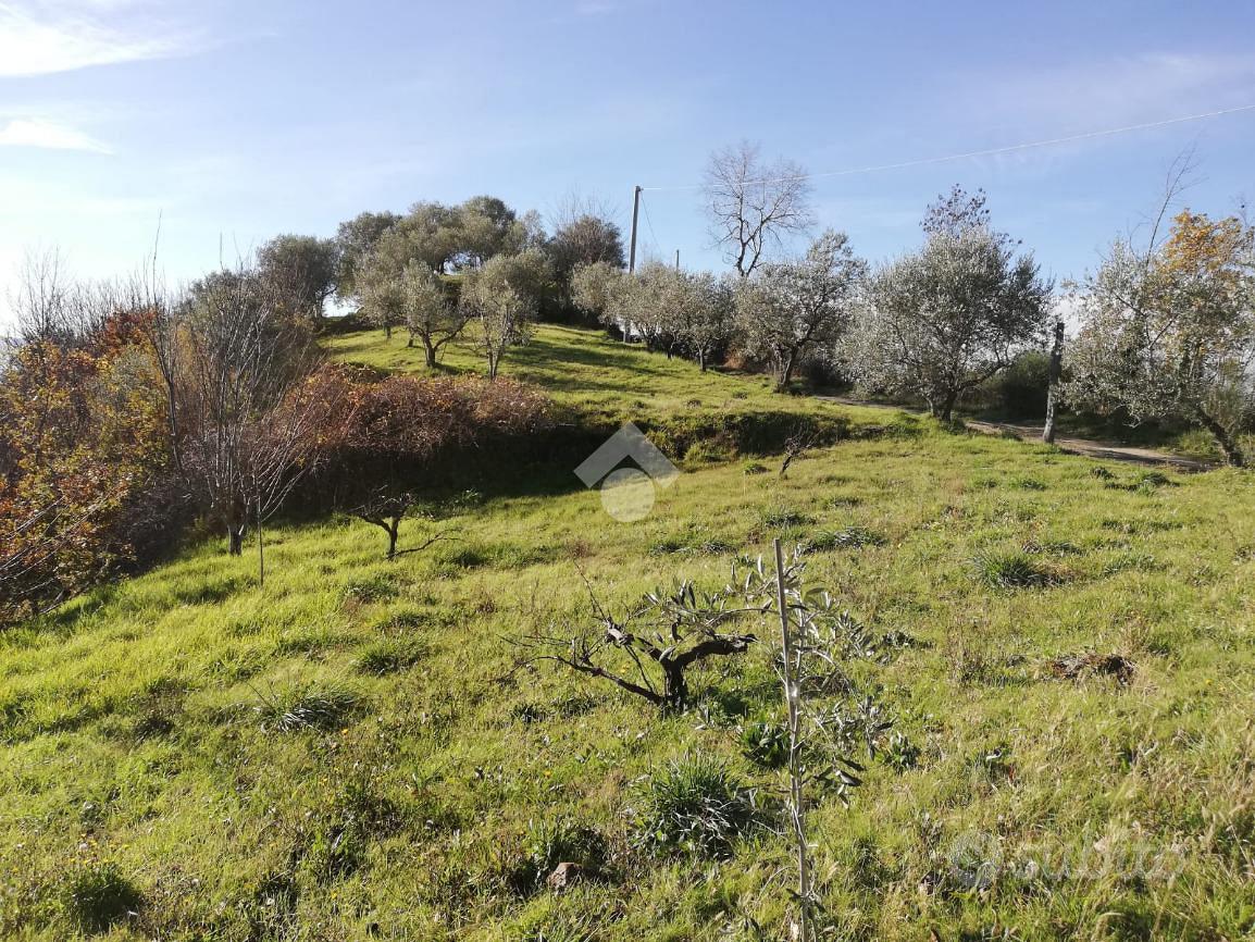 RUSTICO A OLEVANO ROMANO - Vista 4
