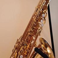 Sax contralto con accessori