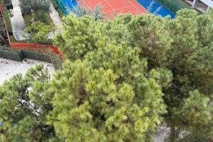 Vendita Appartamento in prestigioso condominio