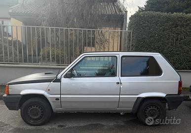 Panda 1 serie 1100 i.e. cat Young