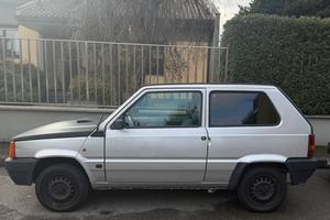 Panda 1 serie 1100 i.e. cat Young