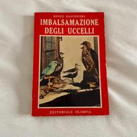 Libro d'epoca "Imbalsamazione degli Uccelli"