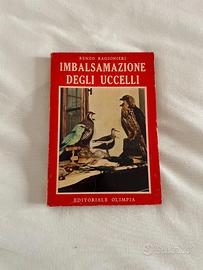 Libro d'epoca "Imbalsamazione degli Uccelli"