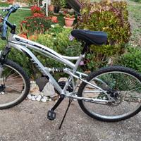 bici adulto