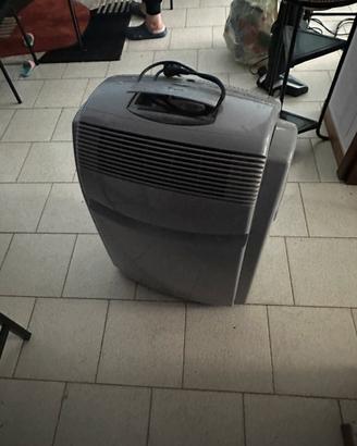 Pinguino de longhi