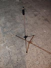Asta per microfono