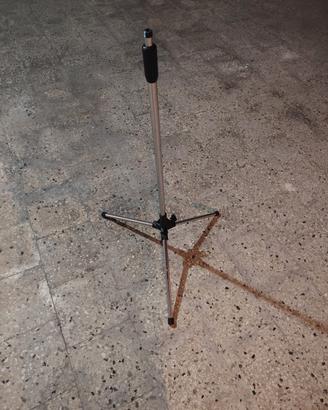 Asta per microfono