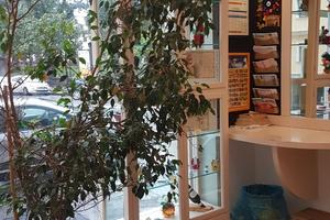 Centralissima tabaccheria ricevitoria e lotteria