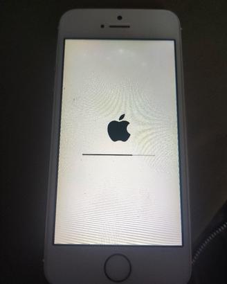 iPhone 5 16GB LCD ROTTO