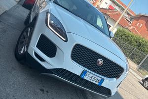 Jaguar e pace