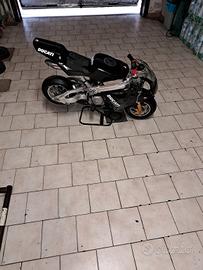minimoto blata replica 40cc a liquido