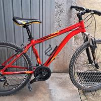 MTB HORNET