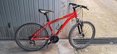 MTB HORNET