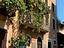 Immagine 5