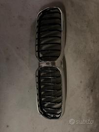 Griglia bmw