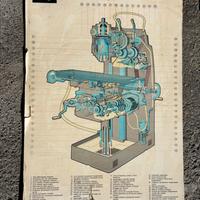 Stampe su compensato