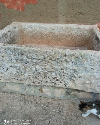 Scifu in pietra