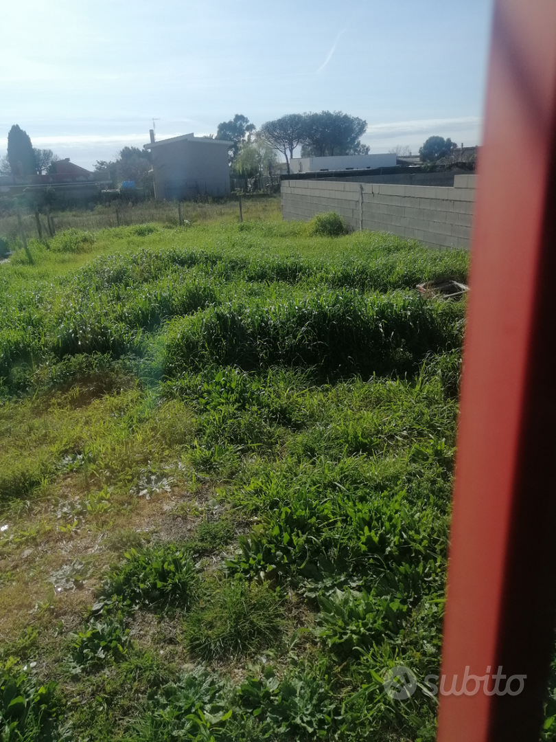 Terreno più contanir - Vista 6