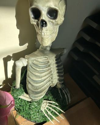 scheletro elletrico hallowen