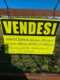 Terreno agricolo di 12.000 mq, con capannone