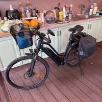 Bicicletta Riverside pedalata assistita