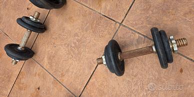 coppia manubri pesi totale 15 kg