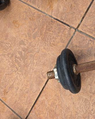 coppia manubri pesi totale 15 kg