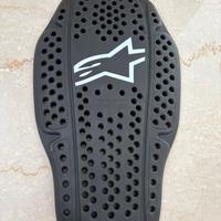 Paraachiena alpinestara