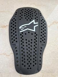 Paraachiena alpinestara