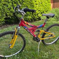 Bicicletta Vicini