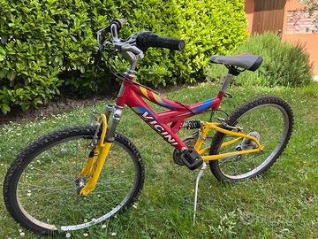 Bicicletta MTB Vicini