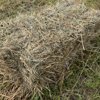 Ballette o ballini di fieno