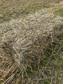 Ballette o ballini di fieno