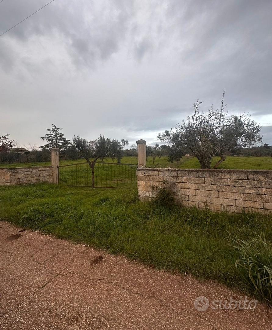 Terreno Agricolo Uliveto Seminativo Selva San Vito - Altro