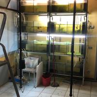 Batteria acquari con struttura alluminio