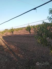  lavoro in agricoltura e edilizia 