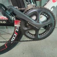 Bdc Wilier triestinna
