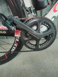 Bdc Wilier triestinna