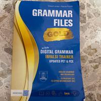Libro di grammatica inglese Grammar Files