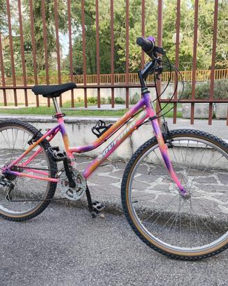 Bicicletta per bambine 8/12 anni