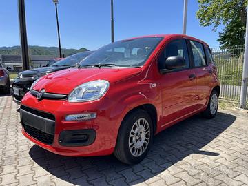 FIAT Panda 3ª serie Panda 1.2 Easy