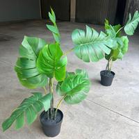 Piante artificiali in vaso da interno/esterno